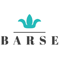 Barse Jewelry Coupons