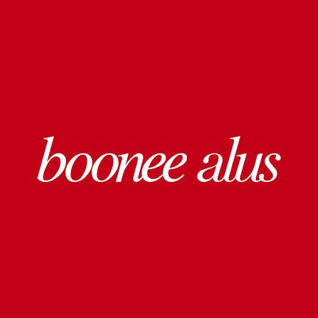 BooneeAlus Coupons