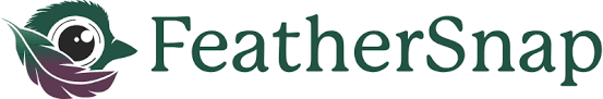 FeatherSnap Coupons