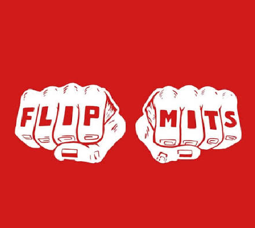 flipmits Coupons
