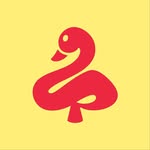 Psilly Goose Coupons