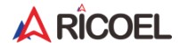Ricoel Store Coupons