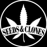 Seeds & Clones Coupons