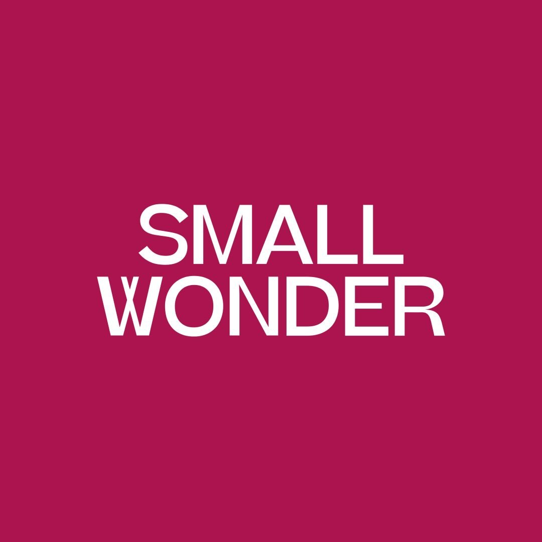 Small Wonder Coupons