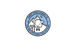 Smart Sheep Dryer Balls Coupons